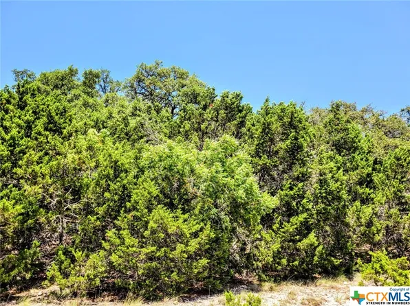 1420 Stallion Springs Dr, Fischer, TX 78623