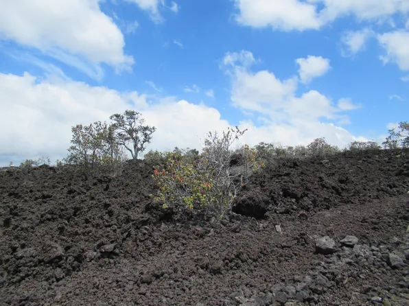 Lurline Ln Lot 28, Captain Cook, HI 96704
