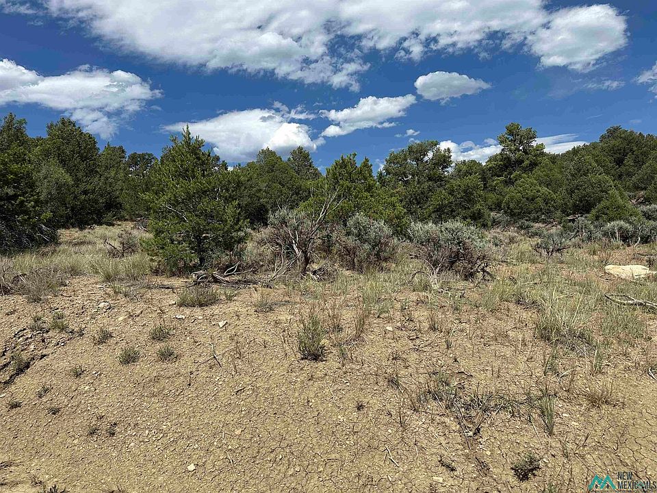 1st image of Martingale Ln