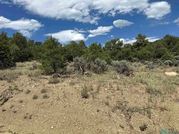 Martingale Ln, Tierra Amarilla, NM 87575