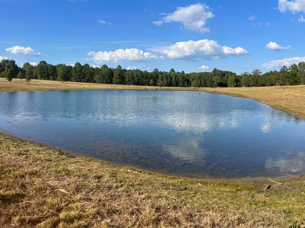 TRACT 2 Private Road 6734, Avinger, TX 75630