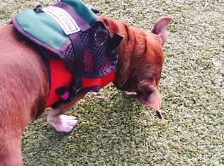 820 Treverton Dr, Matthews, NC 28105