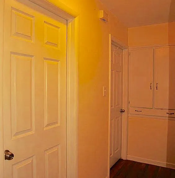 424 S Loomis Ave — Photo 8
