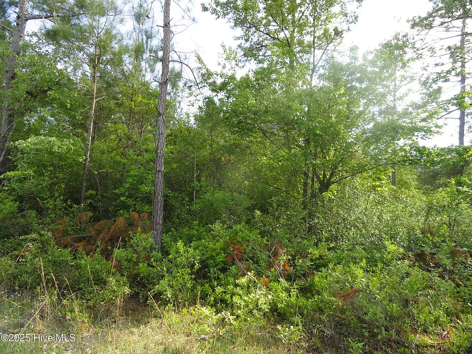 2nd image of 3 River Trail