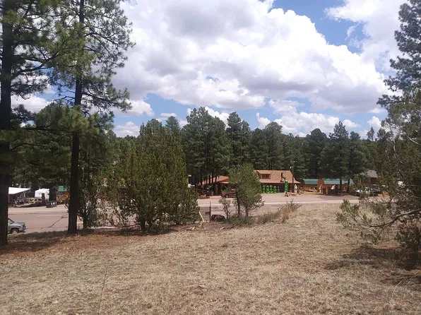 1915 Hwy 260, Overgaard, AZ 85933