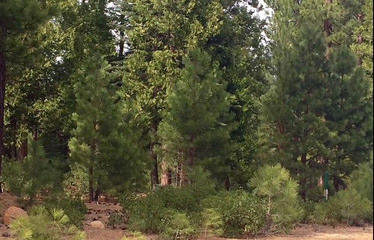 1st image of 178 Fox Peak Dr