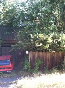 810 NE 69th St, Seattle, WA, 98115