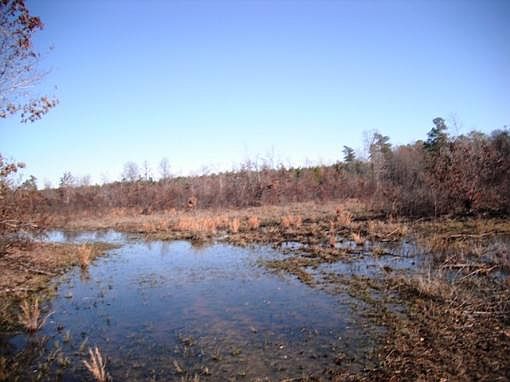 5th image of 10535 Fm 2735