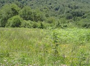 451 Buffalo Run Rd, Friendsville, MD 21531