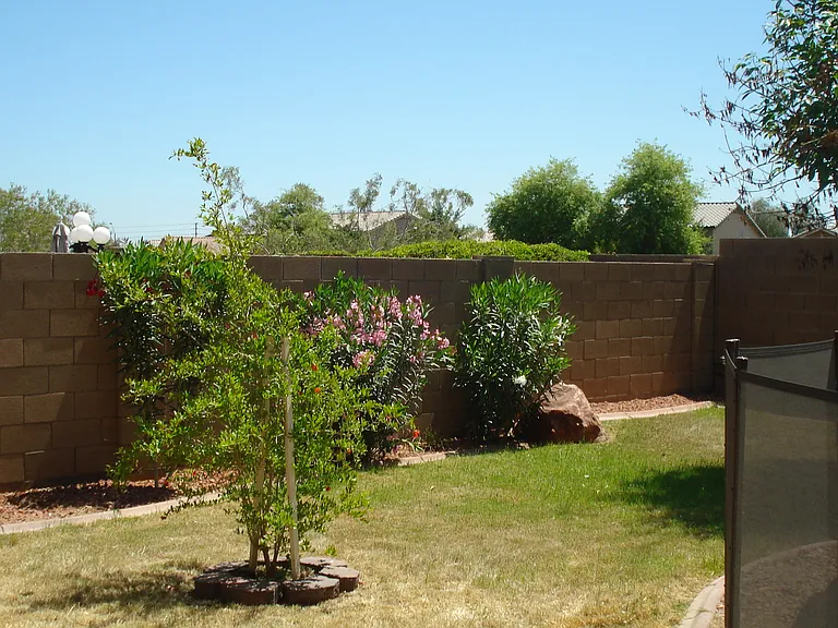 5346 N Ormondo Way — Photo 14