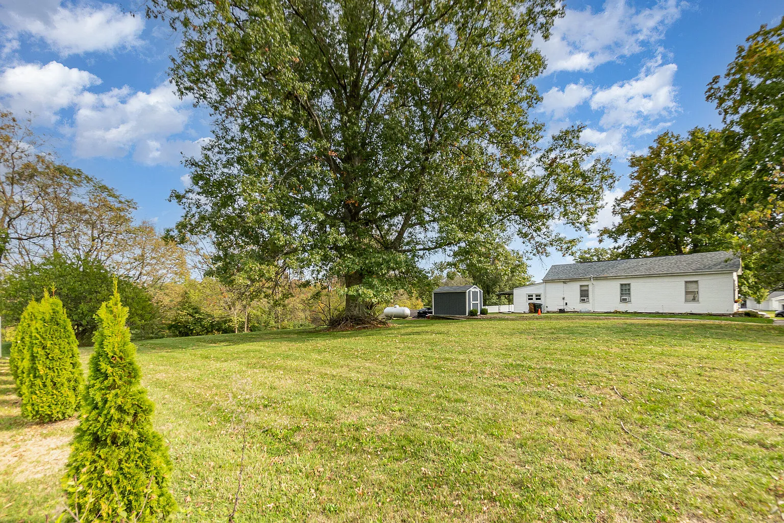 11401 Staffordsburg Rd photo 1