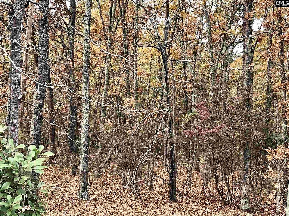 2nd image of 815 Leslie Branham Rd