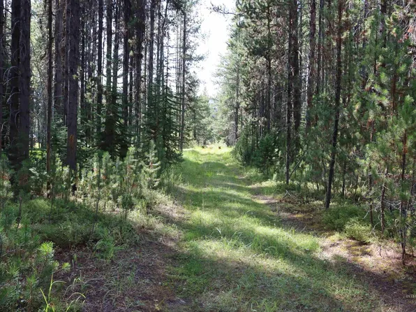 L49 Secesh River Rd, McCall, ID 83638