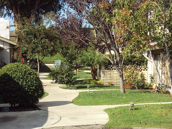 E & D Section Garden Area