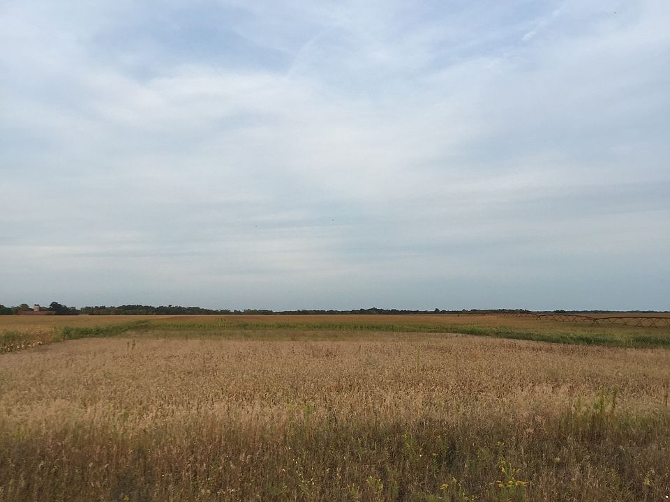 Looking from the road 