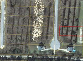 33 Tropical Way, Freeport, FL 32439