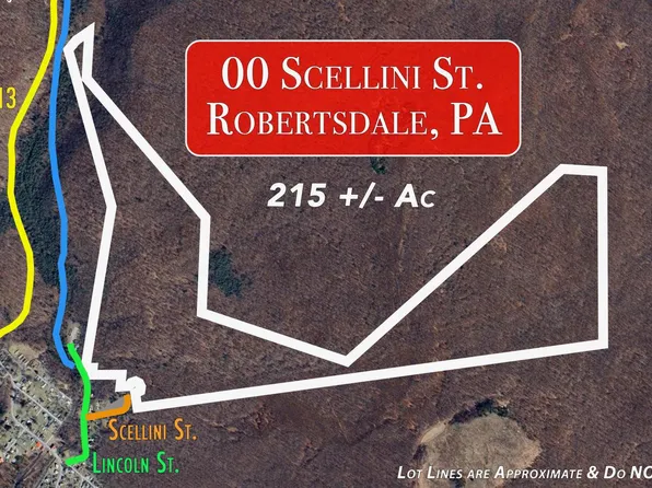 0 Scellini St, Robertsdale, PA 16674