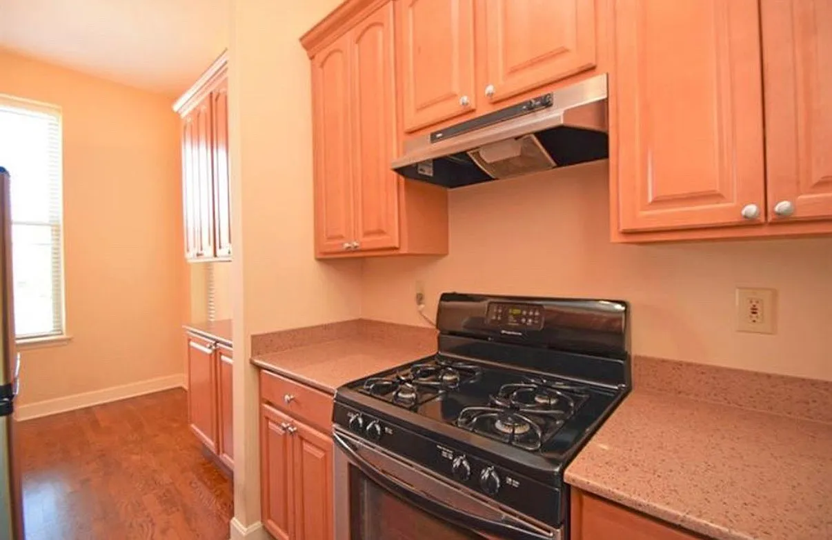 1 bed, 738 sqft, $1,250 — Photo 4