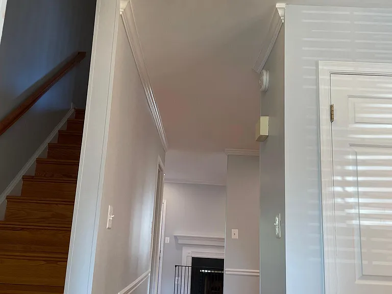 Main Level