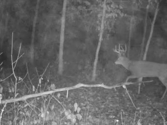 5th image of Cty Road 115/ County Rd #115