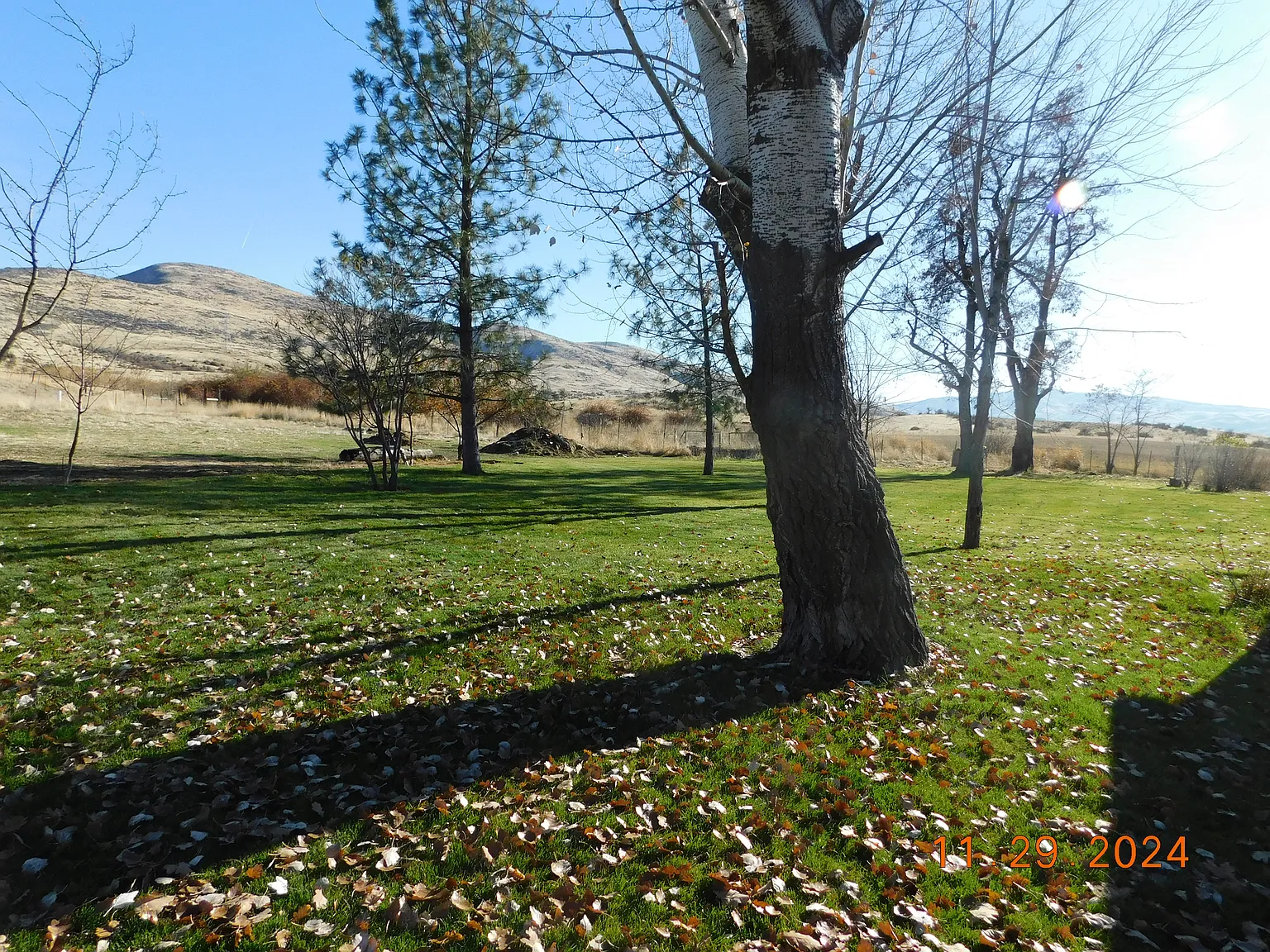 3 bed, 1296 sqft, $2,750 — Photo 4
