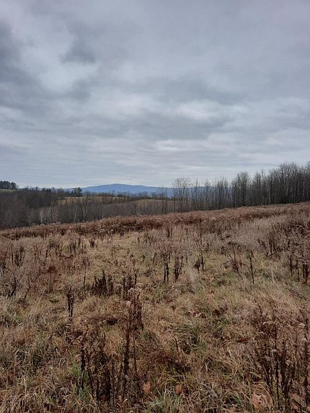 5th image of JOHNSON HILL Road