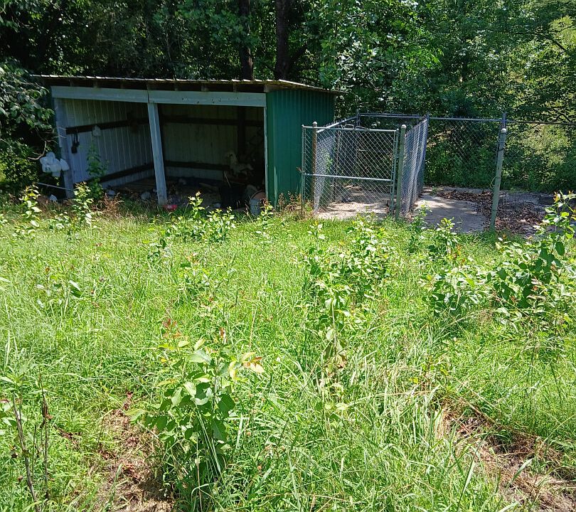 2nd image of 317 Rollins Ln