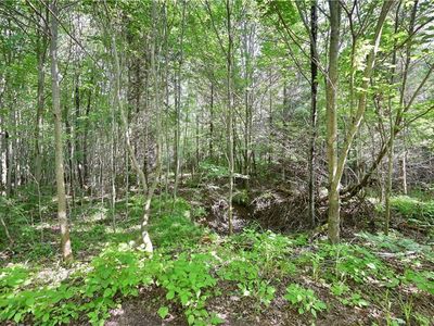 Lot 2 Warner Drive, Hayward, WI, 54843