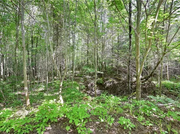 Lot 2 Warner Drive, Hayward, WI 54843