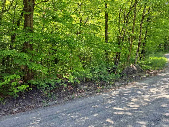 142 & 167 Oberdorf Road, Readsboro, VT 05350