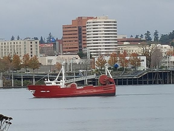 COOL, but what IS THIS?