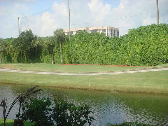 The view from the porch