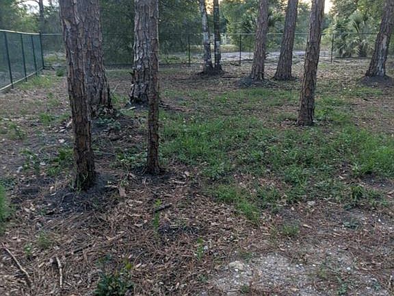 4th image of 306 Bald Cypress Ave