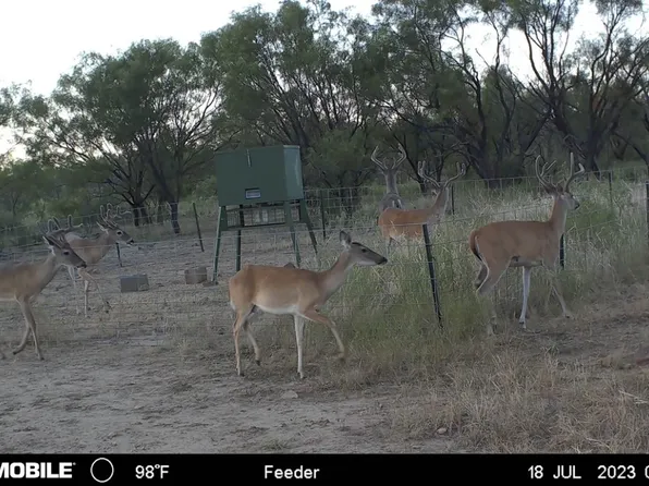 302 County Road 532, Mullin, TX 76864