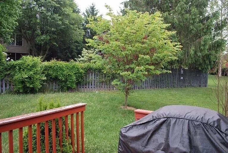 581 Forest Hill Dr — Photo 13