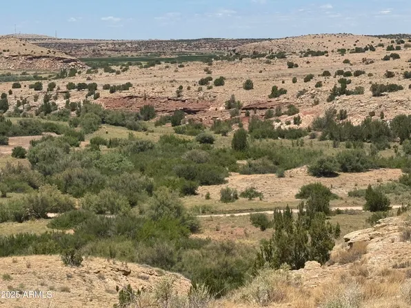 Lot 95 River Springs Ranch -- #095, St Johns, AZ 85936