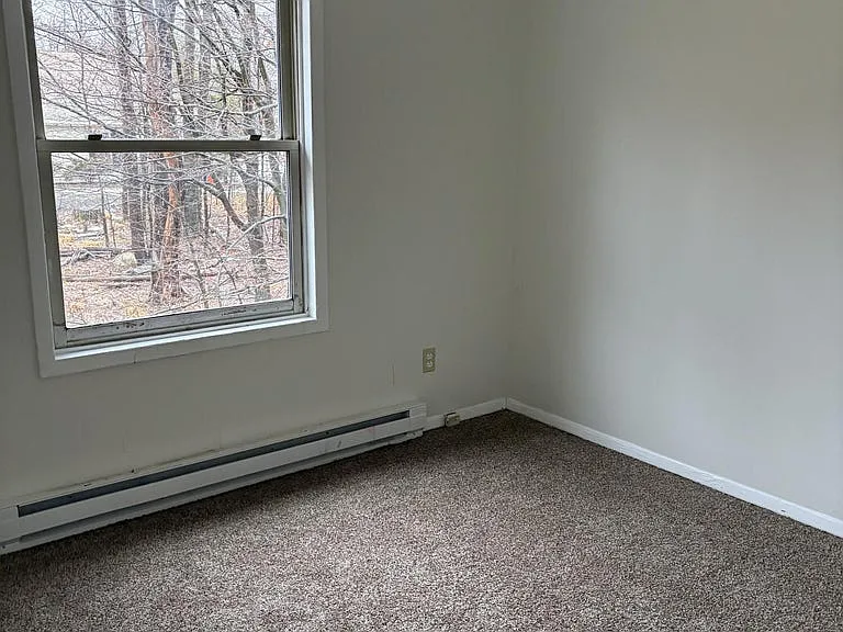 4161 Romeo Rd — Photo 14