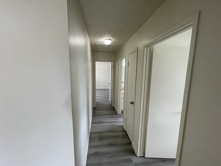 2903 Clover Ct — Photo 6