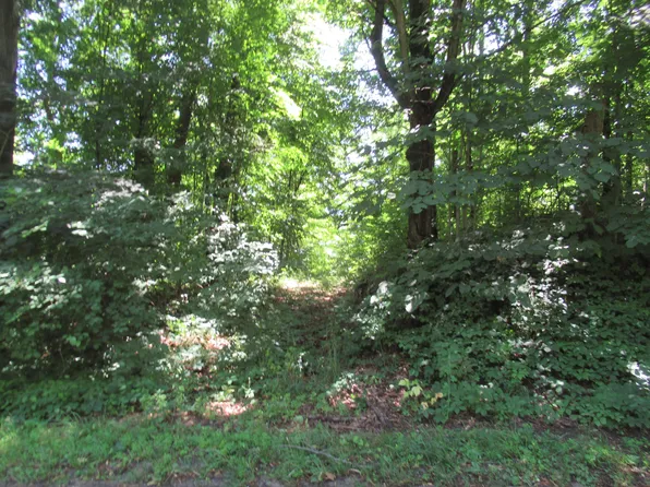 Dutch Settlement St, Cassopolis, MI 49031