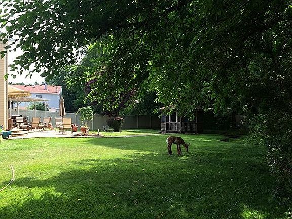 3rd image of 574 Maguire Ave