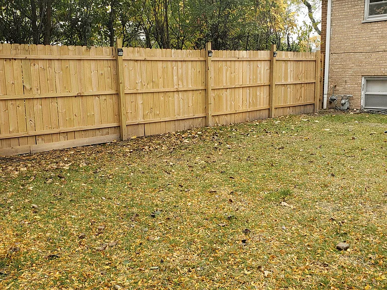 Backyard and Fence