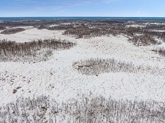 2nd image of Kite St