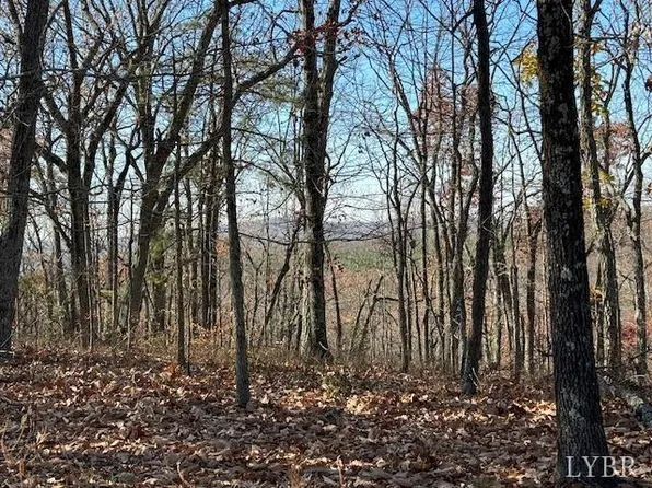 0 Kingswood Ln Lot 1, Lynchburg, VA 24504
