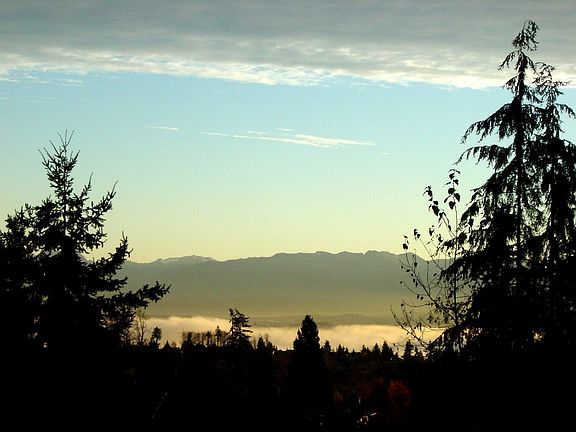 Above the Fog