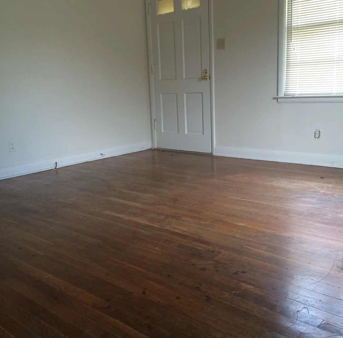 2 bed, 900 sqft, $1,150 — Photo 3