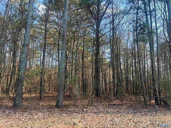 2nd image of TRACT 2 County Road 450