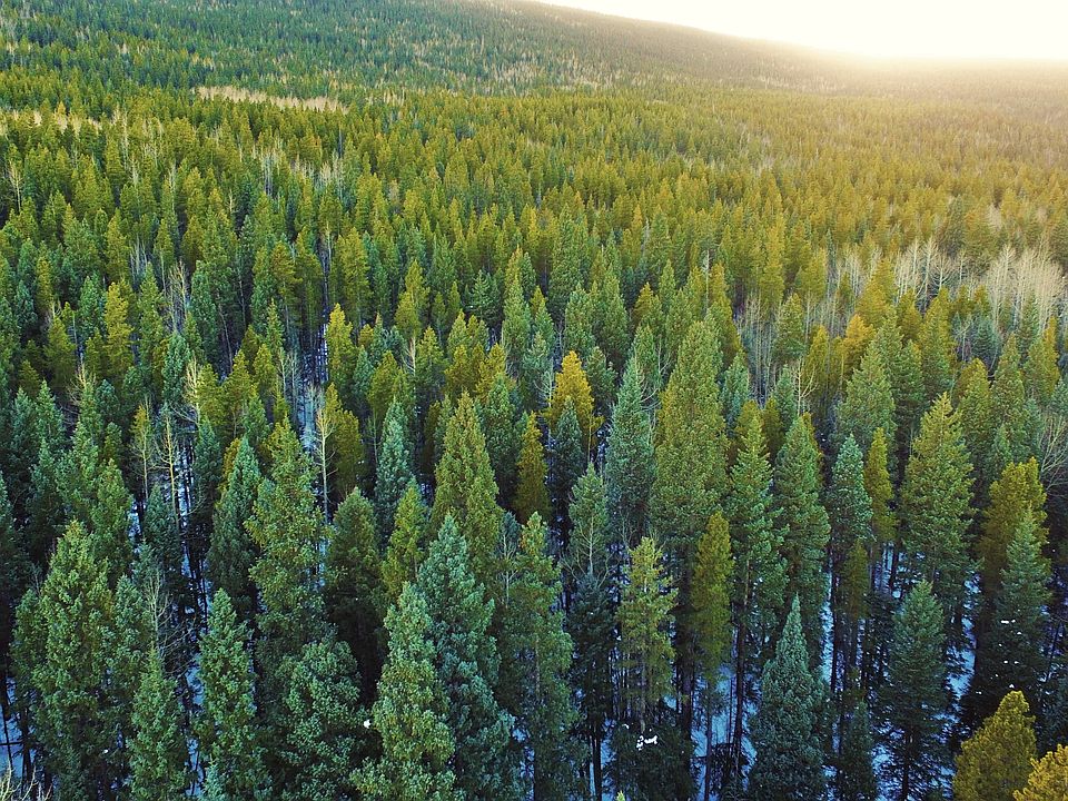 1st image of Tbd Cub Creek Trl