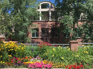 710 E Hopkins Ave #3, Aspen, CO 81611