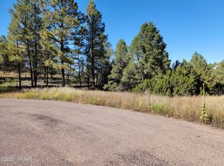 1914 Pinetop Dr, Overgaard, AZ 85933