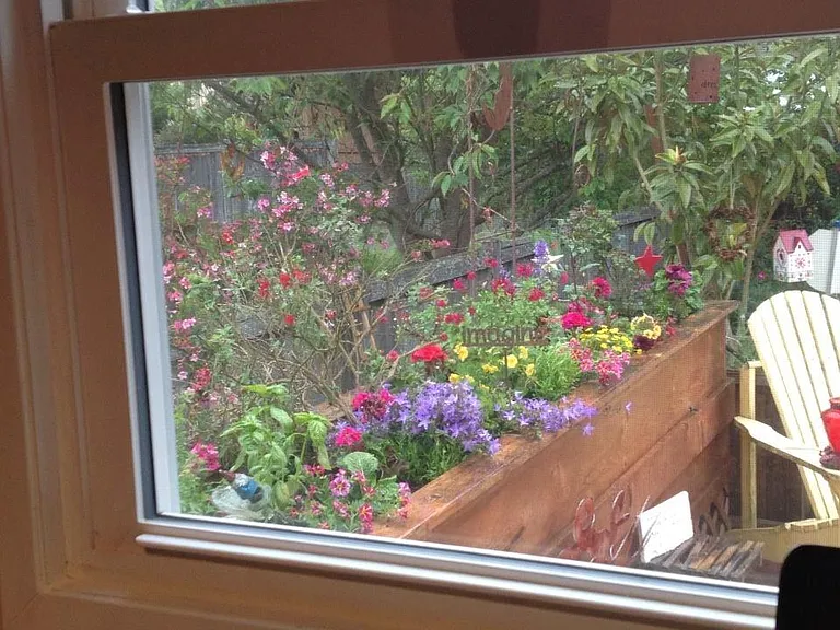 View from kitchen into the backyard